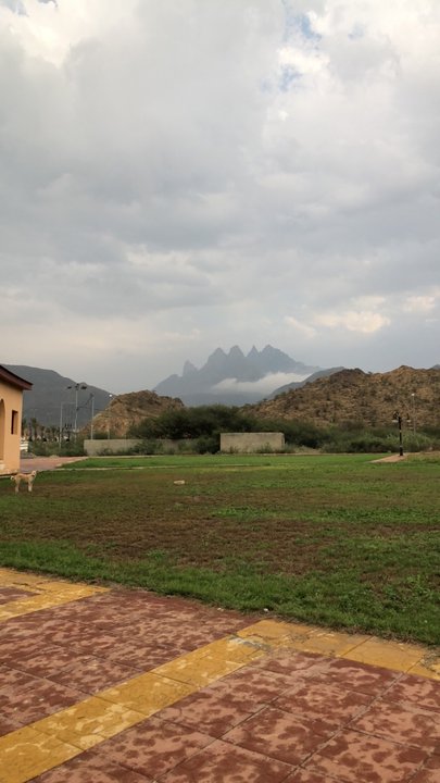 مشاركاتي في أنت الراصد