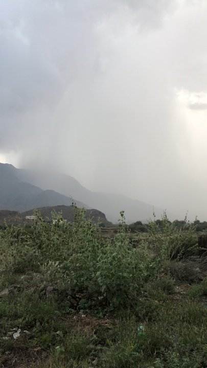 مشاركاتي في أنت الراصد