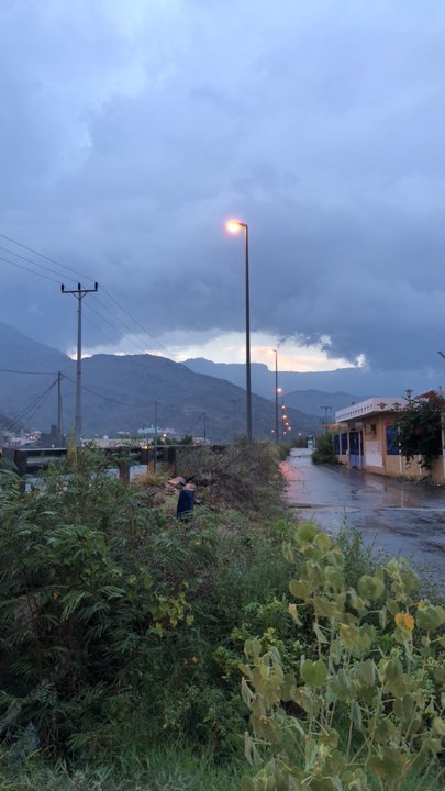 مشاركاتي في أنت الراصد