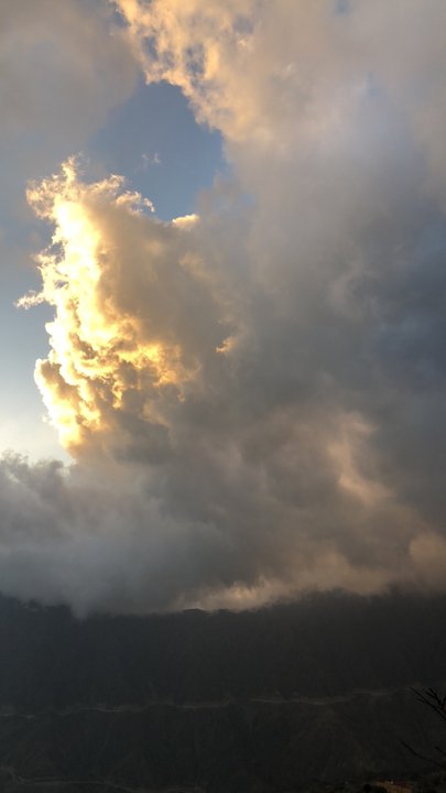 مشاركاتي في أنت الراصد