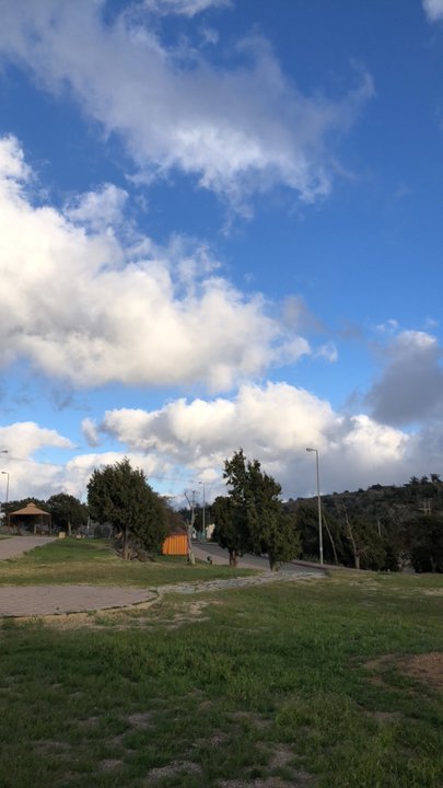 مشاركاتي في أنت الراصد