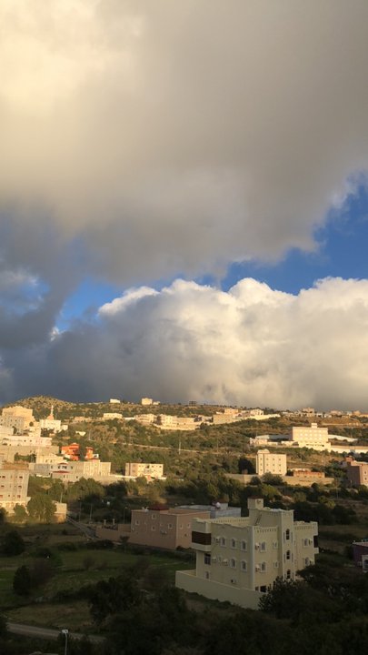 مشاركاتي في أنت الراصد