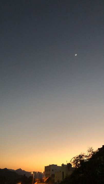 مشاركاتي في أنت الراصد