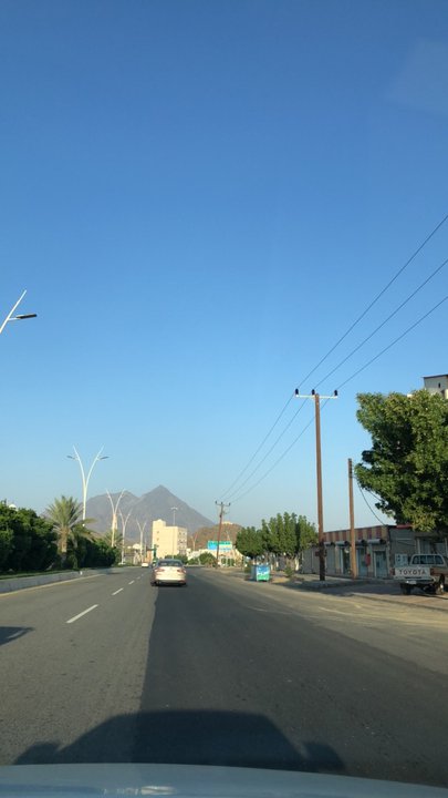 مشاركاتي في أنت الراصد