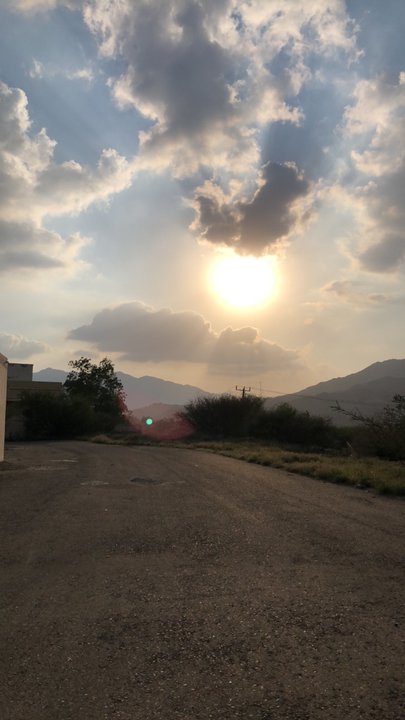 مشاركاتي في أنت الراصد