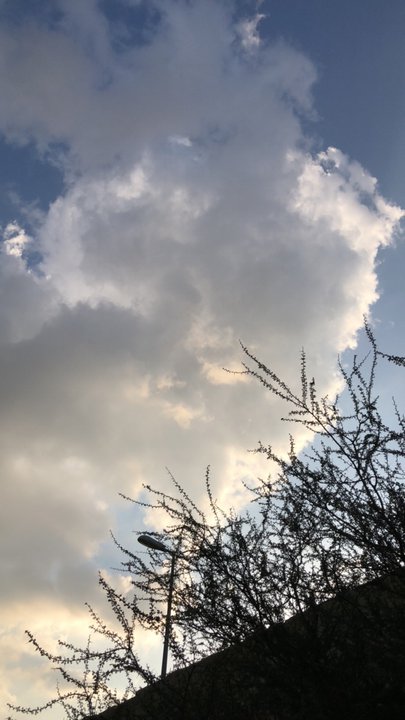 مشاركاتي في أنت الراصد