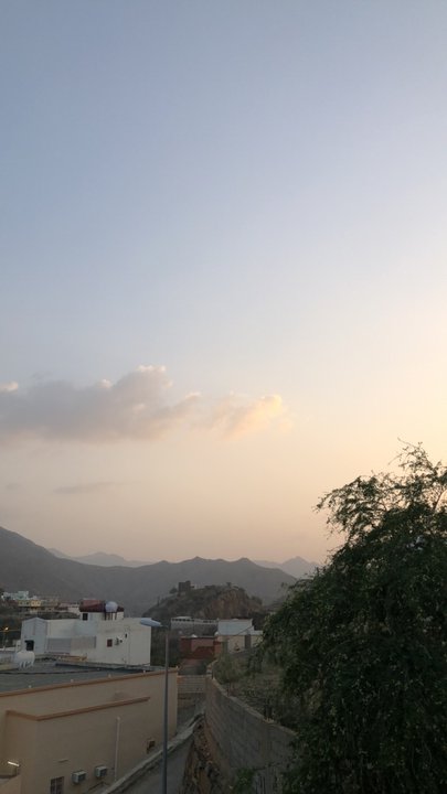 مشاركاتي في أنت الراصد