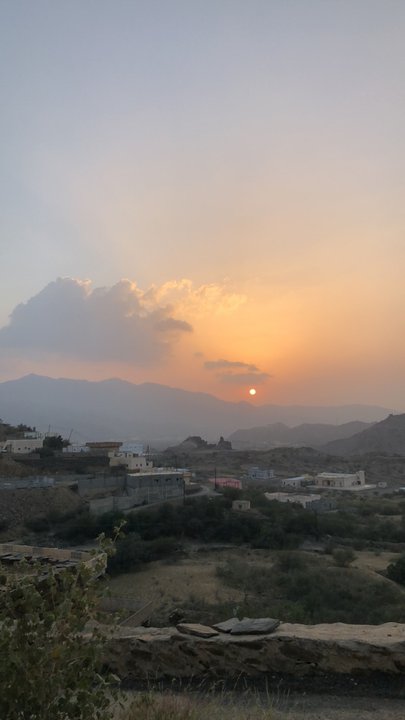 مشاركاتي في أنت الراصد