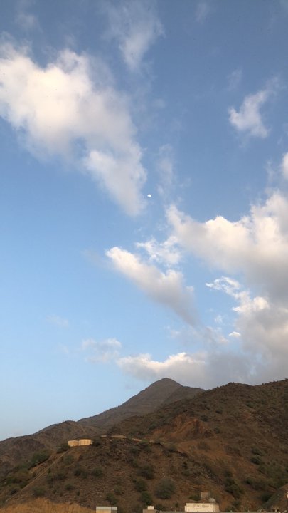 مشاركاتي في أنت الراصد