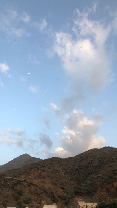 مشاركاتي في أنت الراصد