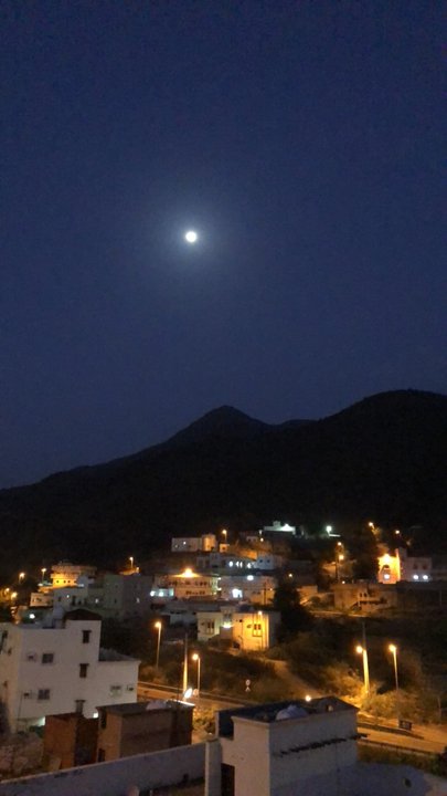 مشاركاتي في أنت الراصد