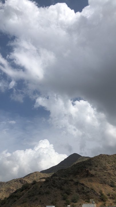 مشاركاتي في أنت الراصد