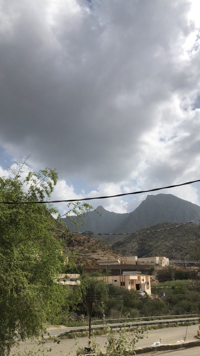 مشاركاتي في أنت الراصد