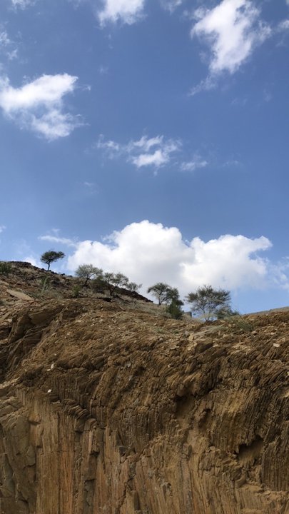 مشاركاتي في أنت الراصد