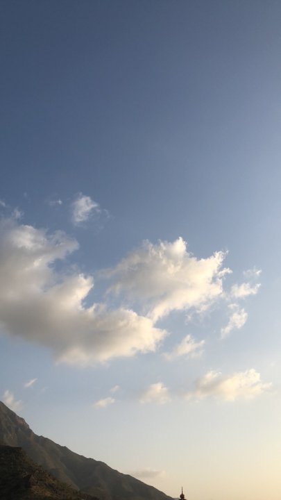 مشاركاتي في أنت الراصد