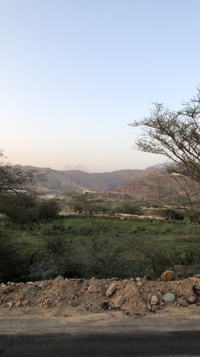 مشاركاتي في أنت الراصد