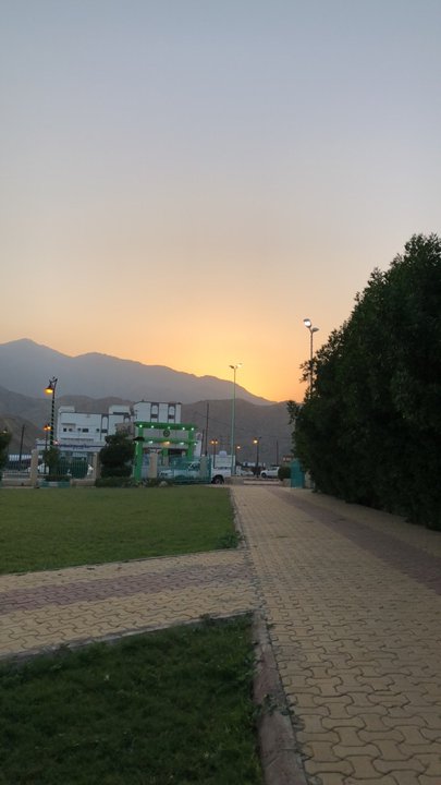 مشاركاتي في أنت الراصد