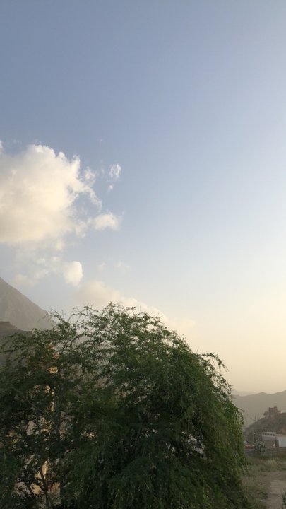 مشاركاتي في أنت الراصد