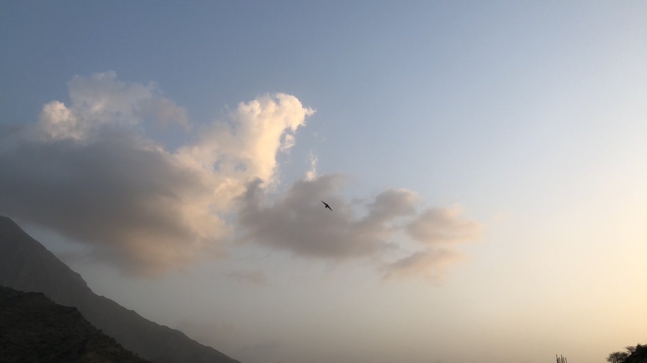 مشاركاتي في أنت الراصد