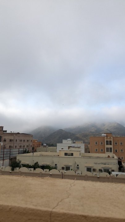 مشاركاتي في أنت الراصد