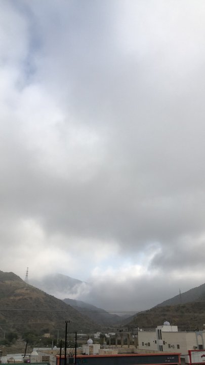 مشاركاتي في أنت الراصد