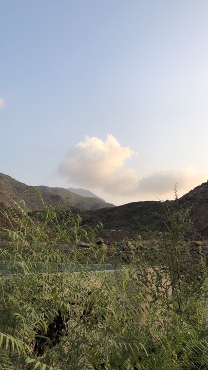 مشاركاتي في أنت الراصد