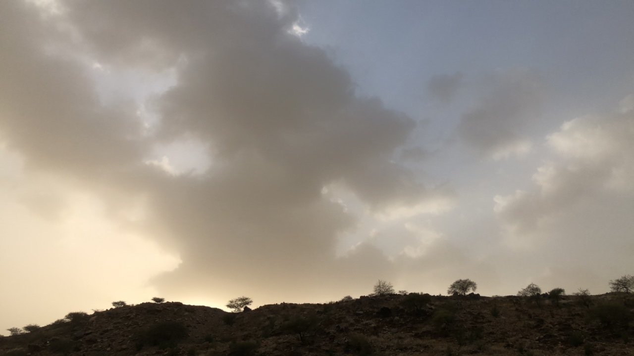 مشاركاتي في أنت الراصد