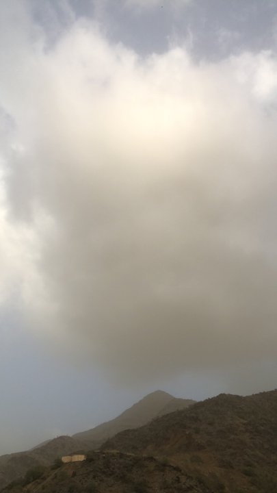 مشاركاتي في أنت الراصد