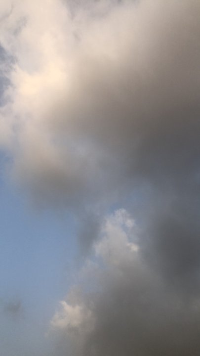 مشاركاتي في أنت الراصد