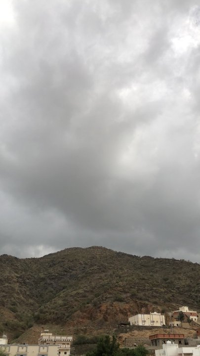 مشاركاتي في أنت الراصد