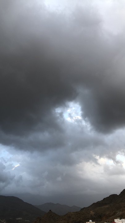 مشاركاتي في أنت الراصد