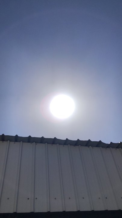 مشاركاتي في أنت الراصد