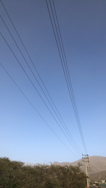 مشاركاتي في أنت الراصد