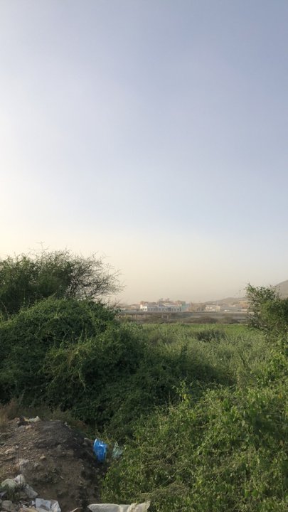 مشاركاتي في أنت الراصد