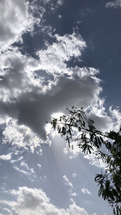 مشاركاتي في أنت الراصد