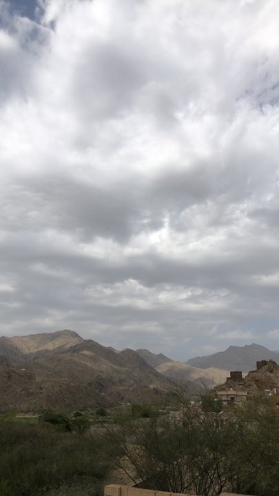 مشاركاتي في أنت الراصد