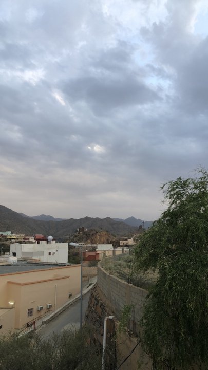 مشاركاتي في أنت الراصد