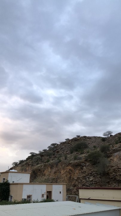 مشاركاتي في أنت الراصد