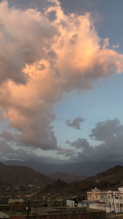 مشاركاتي في أنت الراصد