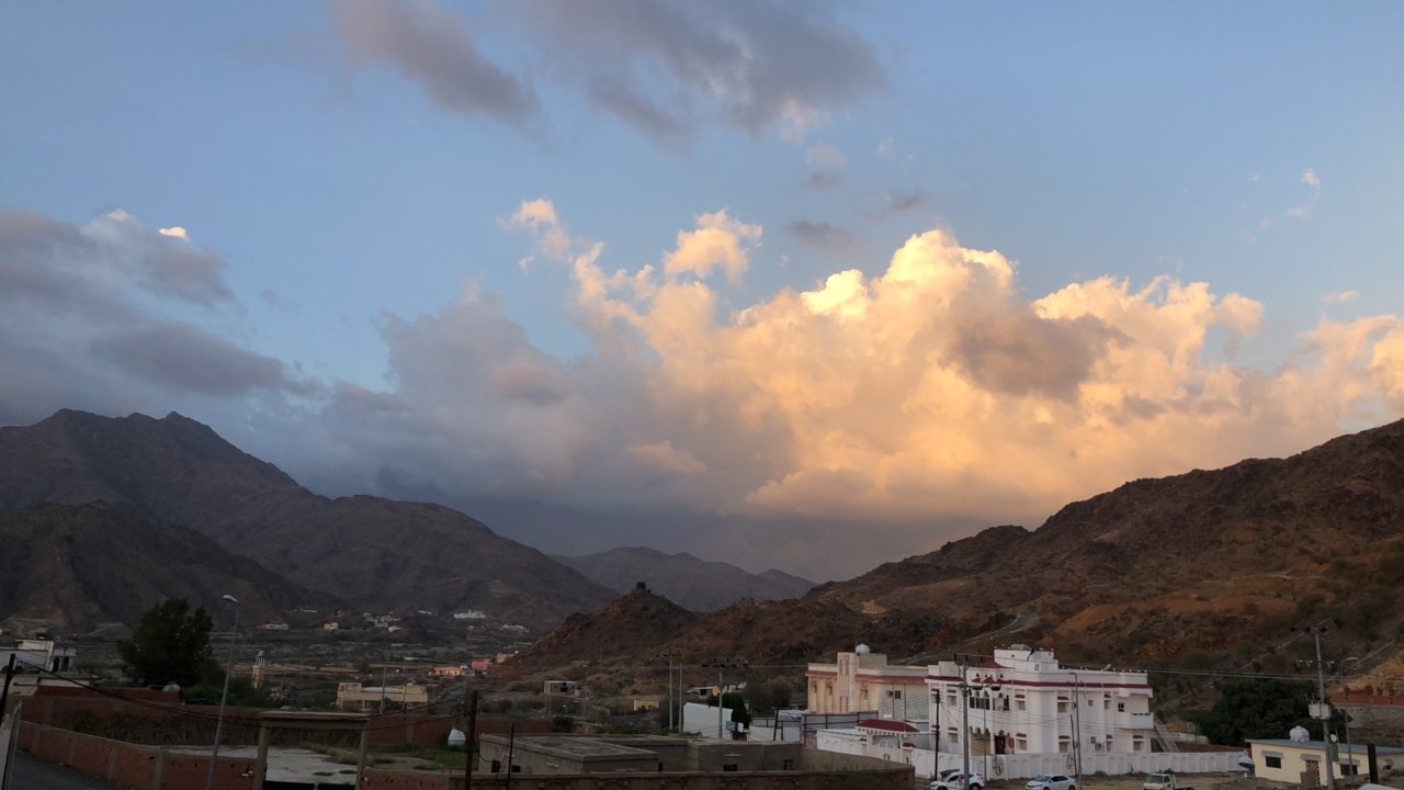 مشاركاتي في أنت الراصد