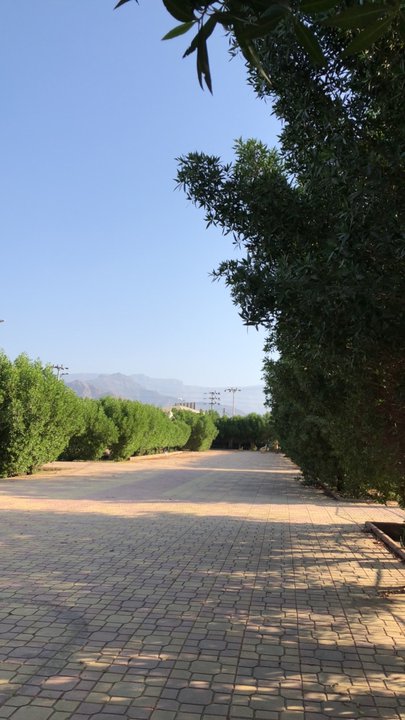 مشاركاتي في أنت الراصد