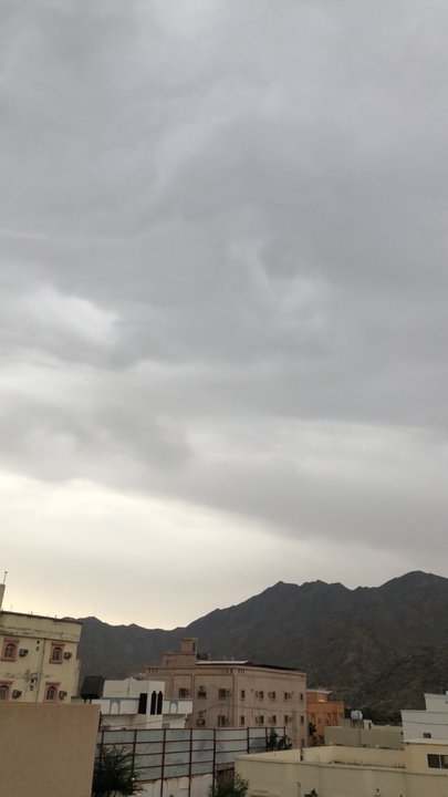 مشاركاتي في أنت الراصد