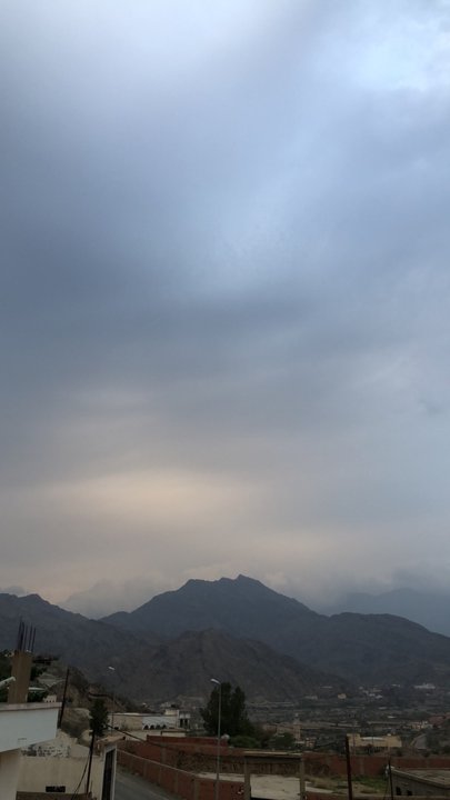 مشاركاتي في أنت الراصد