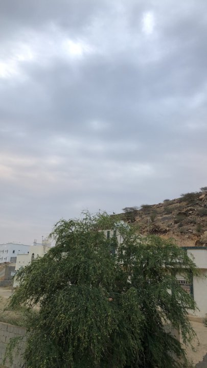 مشاركاتي في أنت الراصد