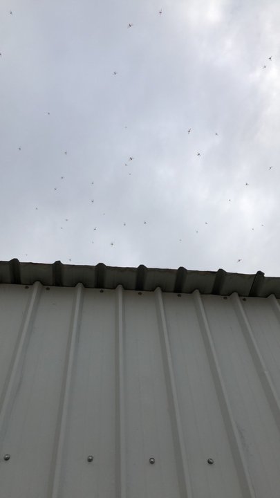 مشاركاتي في أنت الراصد