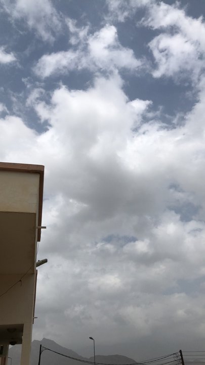 مشاركاتي في أنت الراصد