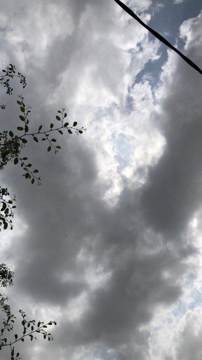 مشاركاتي في أنت الراصد