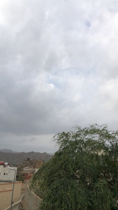 مشاركاتي في أنت الراصد