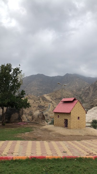 مشاركاتي في أنت الراصد