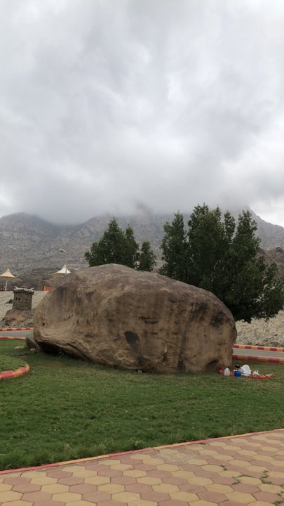 مشاركاتي في أنت الراصد